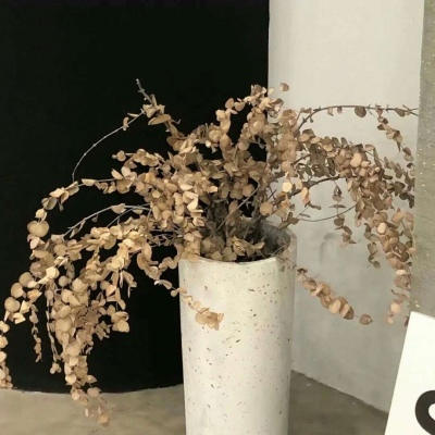 Furry绘画避坑实用指南福瑞交流群